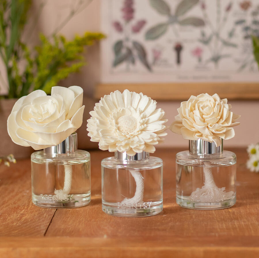 Scentsy Fragrance Flowers in Australia